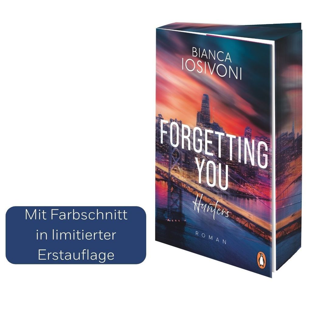 Weitere Ansicht: Hunters - Forgetting You | Bianca Iosivoni