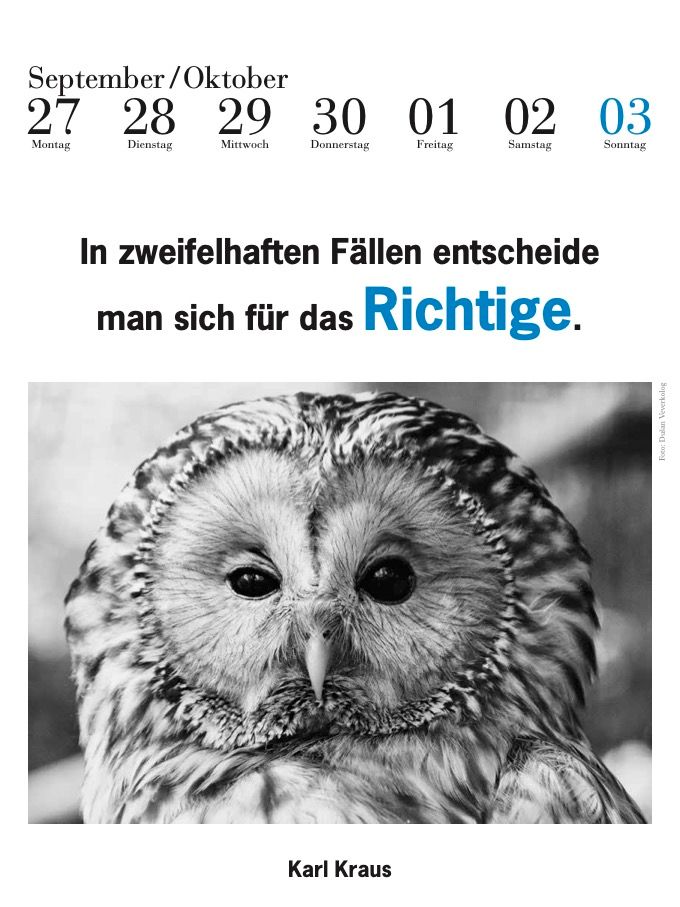 Weitere Ansicht: Der literarische Eulenkalender 2027 | Julia Bachstein