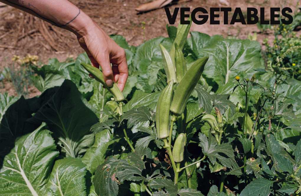 Weitere Ansicht: Fusao | Ixta Belfrage