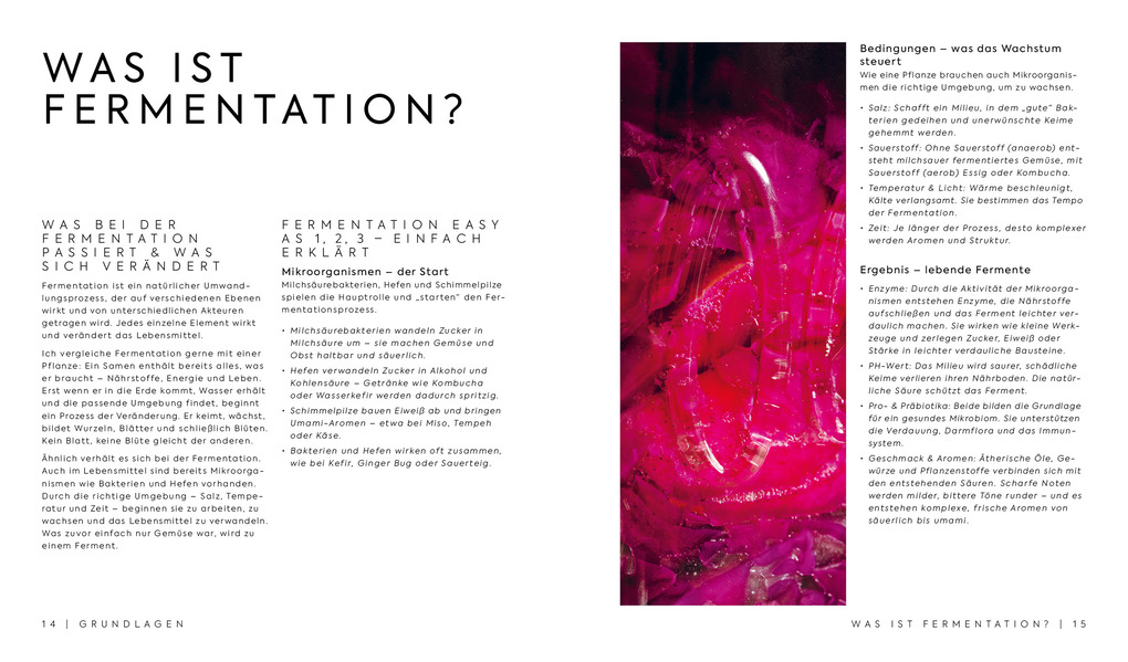 Weitere Ansicht: Fermentieren - Twist your Taste! | Nadine Schünemann