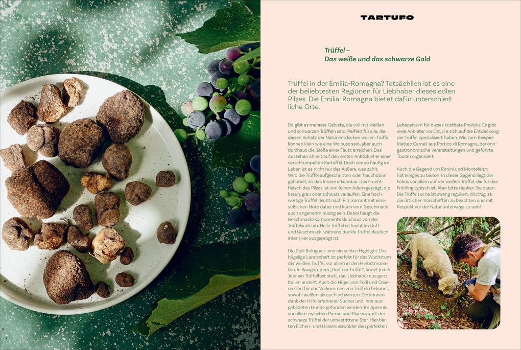 Weitere Ansicht: Emilia-Romagna. Il Cuore del Gusto | Ingolf Hatz