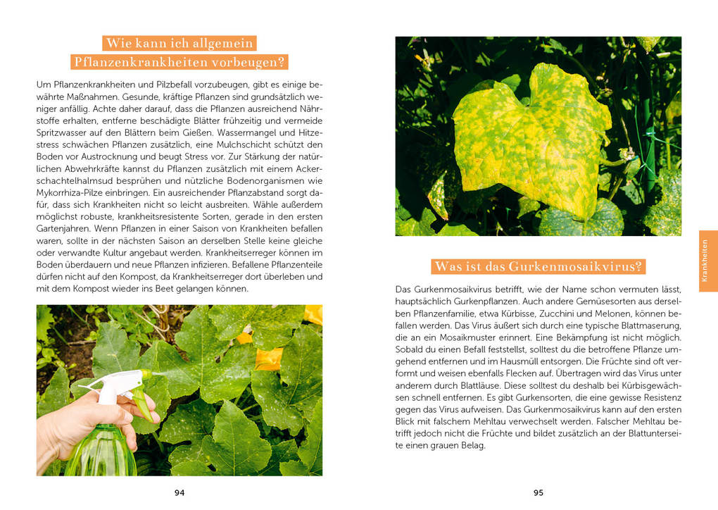 Weitere Ansicht: Das Gemüsegarten 1 x 1 | Kai Meret Brieske