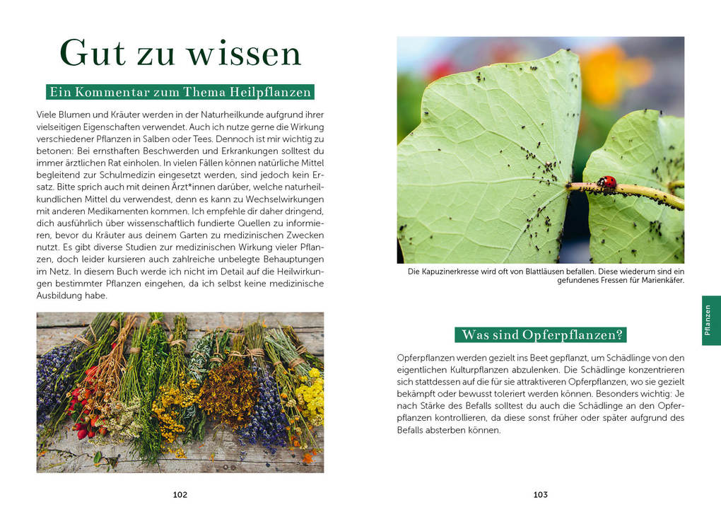 Weitere Ansicht: Das Gemüsegarten 1 x 1 | Kai Meret Brieske