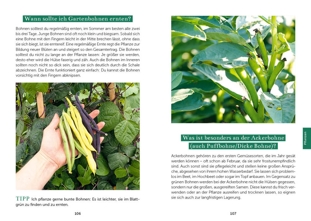 Weitere Ansicht: Das Gemüsegarten 1 x 1 | Kai Meret Brieske