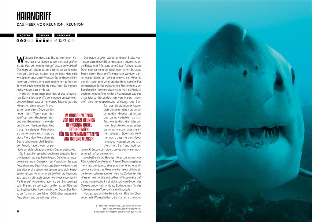 Weitere Ansicht: How to Kill Yourself Abroad | Markus Lesweng