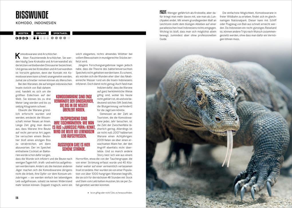 Weitere Ansicht: How to Kill Yourself Abroad | Markus Lesweng