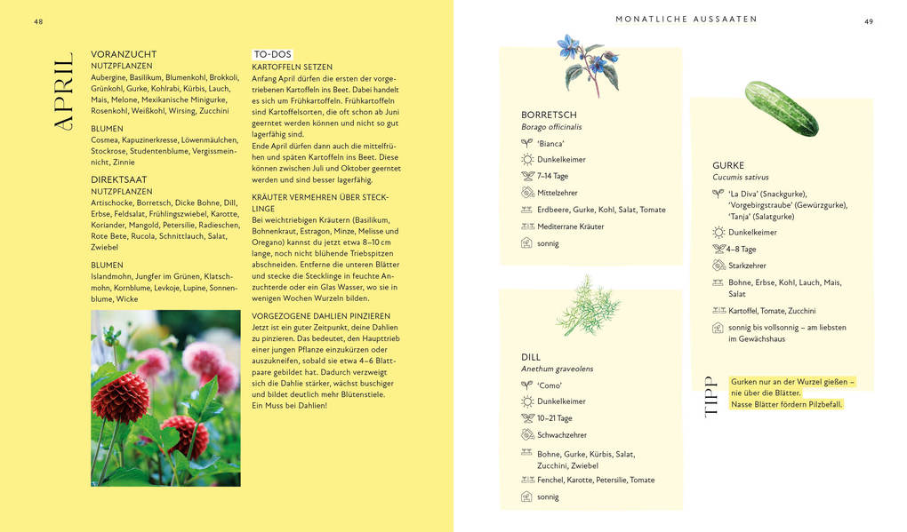 Weitere Ansicht: Blütenpracht und Ernteglück - Dein Weg zum Traumgarten | Svenja Breuer