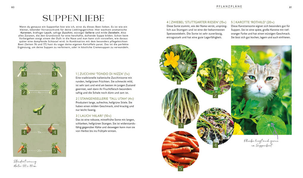 Weitere Ansicht: Blütenpracht und Ernteglück - Dein Weg zum Traumgarten | Svenja Breuer