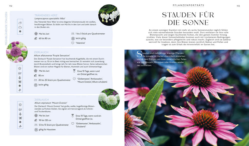 Weitere Ansicht: Blütenpracht und Ernteglück - Dein Weg zum Traumgarten | Svenja Breuer