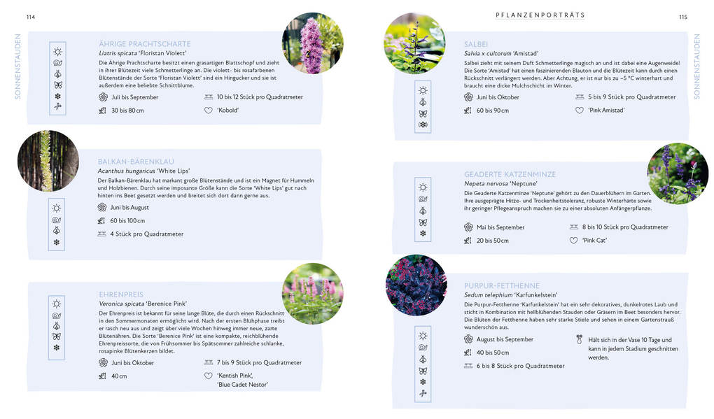 Weitere Ansicht: Blütenpracht und Ernteglück - Dein Weg zum Traumgarten | Svenja Breuer