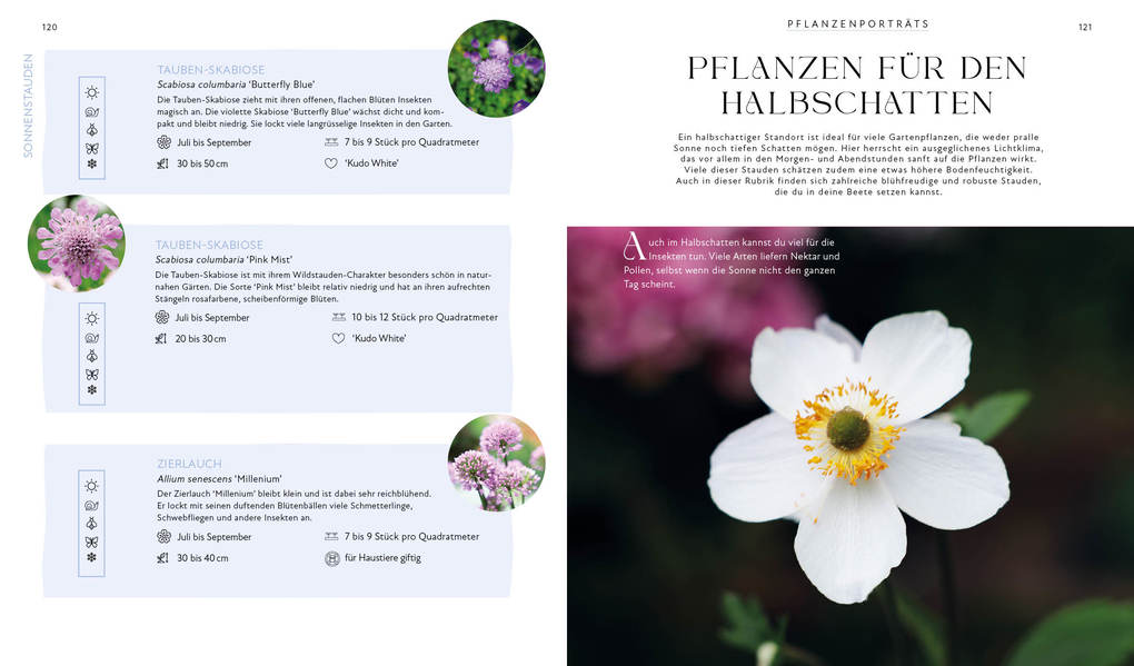 Weitere Ansicht: Blütenpracht und Ernteglück - Dein Weg zum Traumgarten | Svenja Breuer