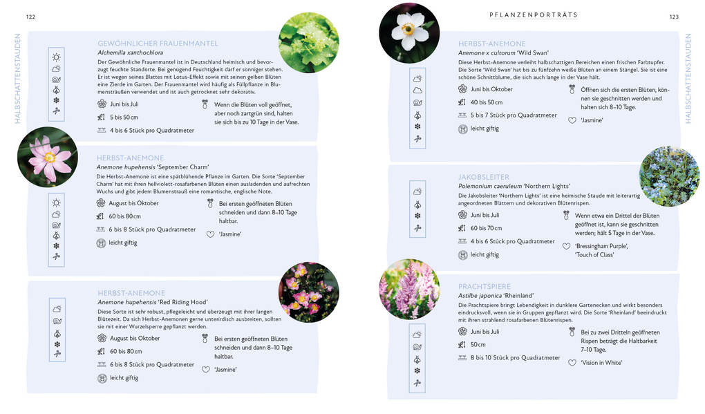 Weitere Ansicht: Blütenpracht und Ernteglück - Dein Weg zum Traumgarten | Svenja Breuer