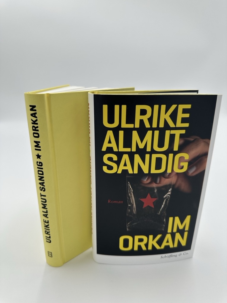 Weitere Ansicht: Im Orkan | Ulrike Almut Sandig
