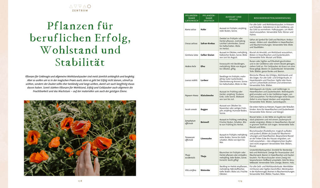 Weitere Ansicht: Magie im Hexengarten - Gärtnern mit grüner Magie | Minerva Winter