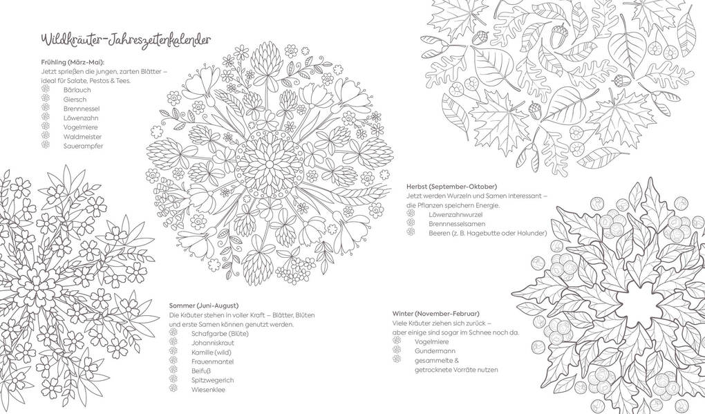 Weitere Ansicht: Ausmalreise Kräuterduft und Wanderlust