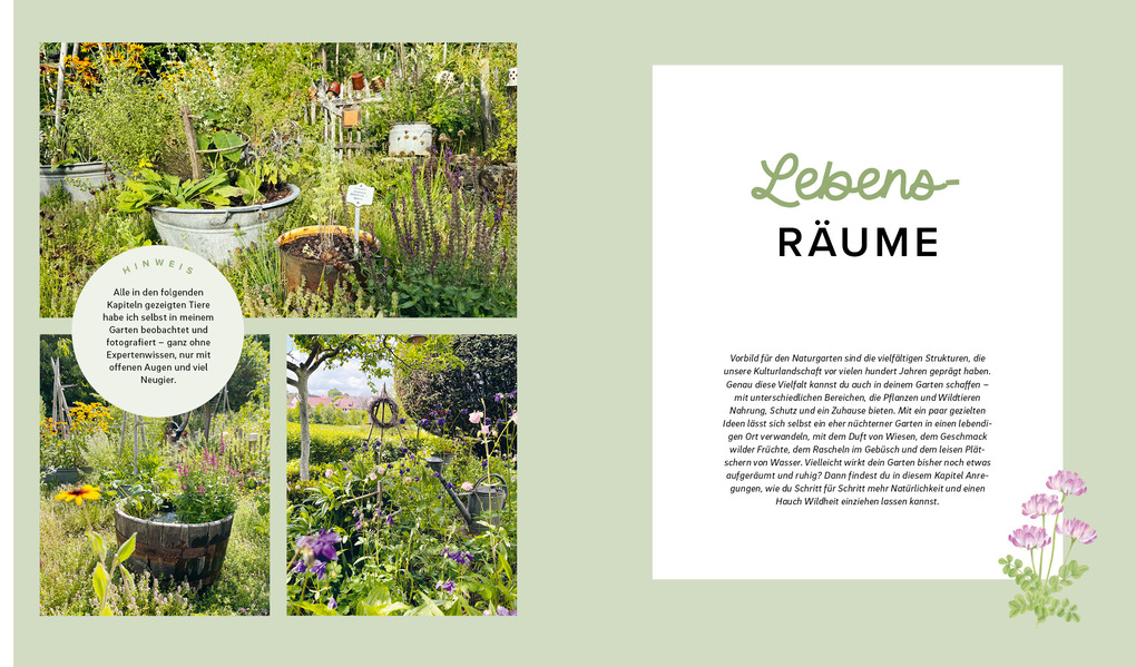 Weitere Ansicht: Mein wilder, bunter Garten - Einfach naturnah gärtnern | Silvia Hardt