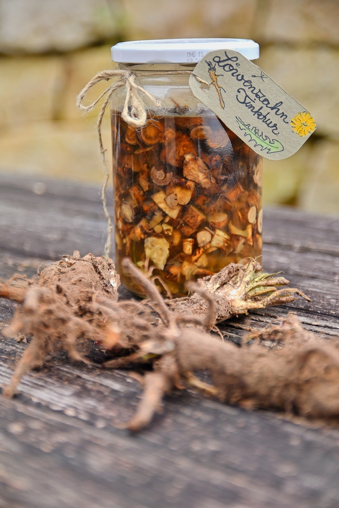 Weitere Ansicht: Das Löwenzahnbuch | Mechtilde Frintrup