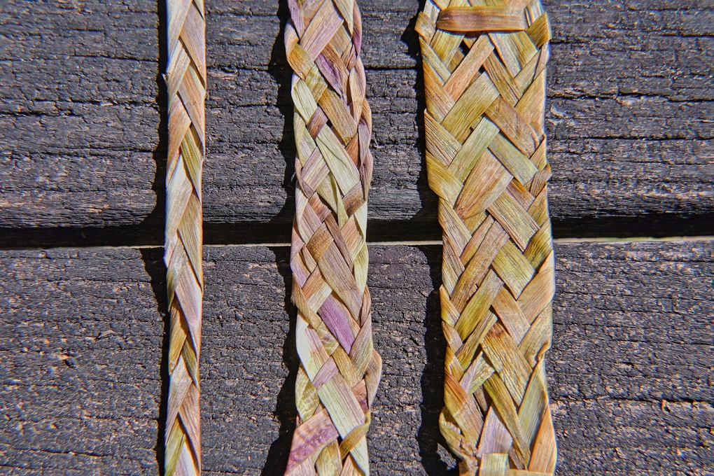 Weitere Ansicht: Das Löwenzahnbuch | Mechtilde Frintrup