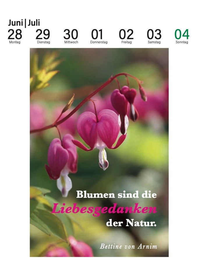 Weitere Ansicht: Der literarische Gartenkalender 2027