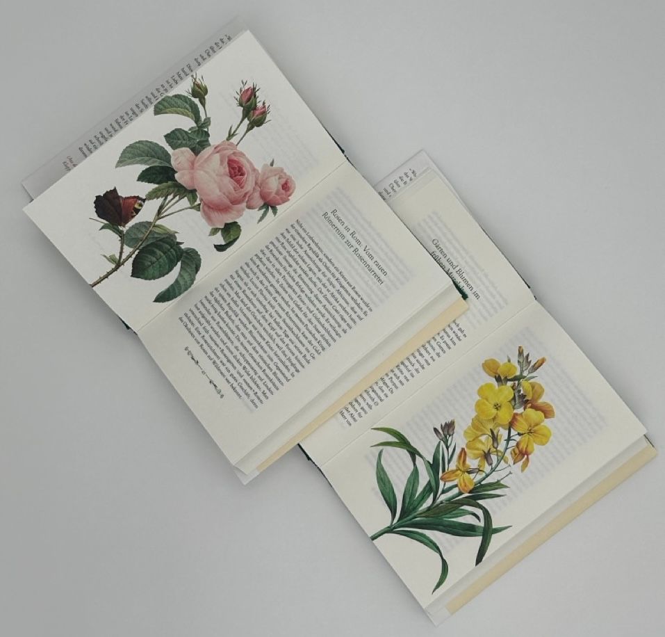 Weitere Ansicht: Tulpenwut und Rosenliebe | Gabriele Tergit