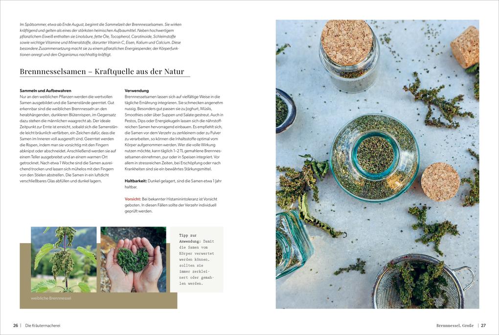 Weitere Ansicht: Die Kräutermacherei. Meine Naturapotheke. | Tina Rosenkranz