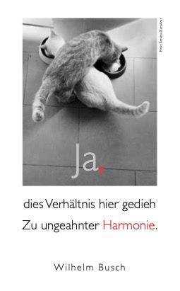 Weitere Ansicht: Katzen Taschenkalender 2027 | Julia Bachstein