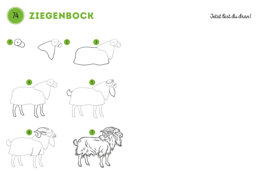 Weitere Ansicht: 300 Motive zeichnen - Tiere | Lise Herzog