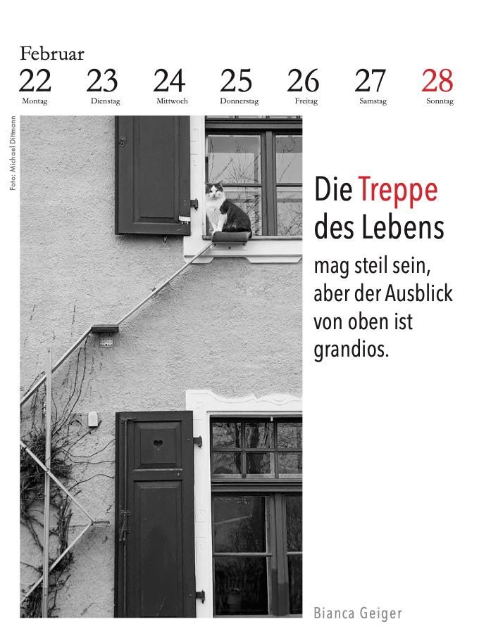 Weitere Ansicht: Der literarische Katzenkalender 2027 | Julia Bachstein