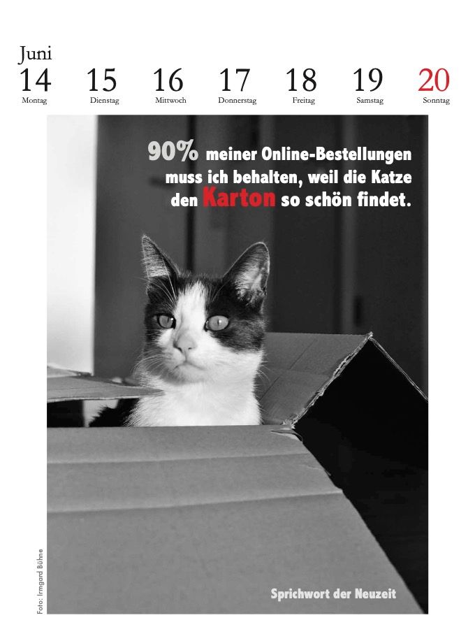 Weitere Ansicht: Der literarische Katzenkalender 2027 | Julia Bachstein