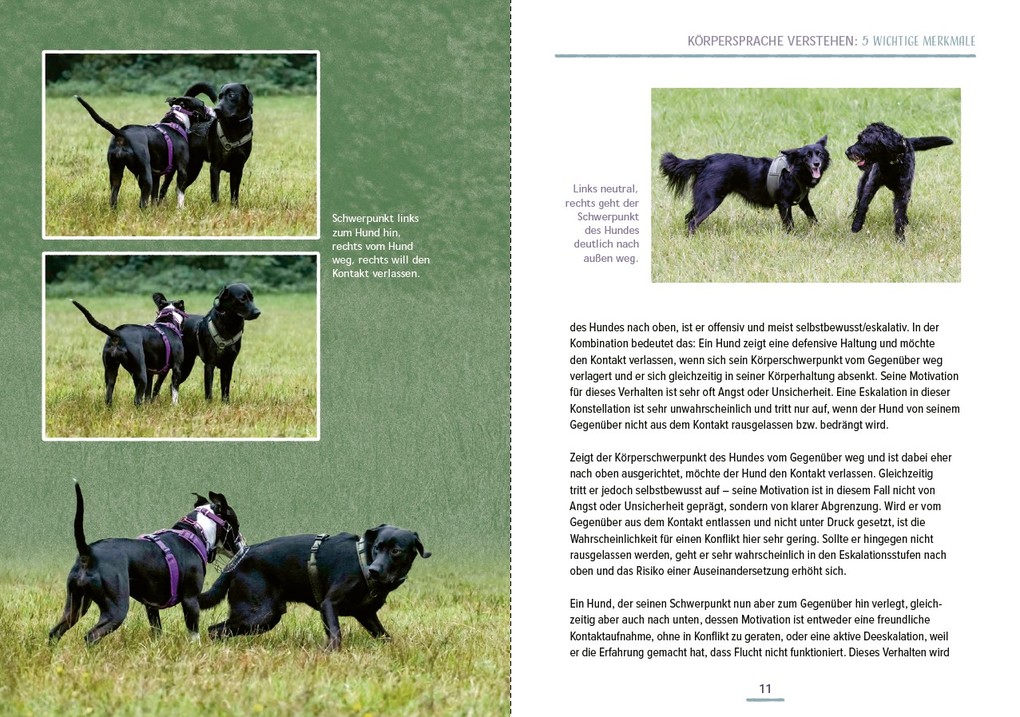 Weitere Ansicht: Das Hundesprachbuch | Julia Recker-Nitri