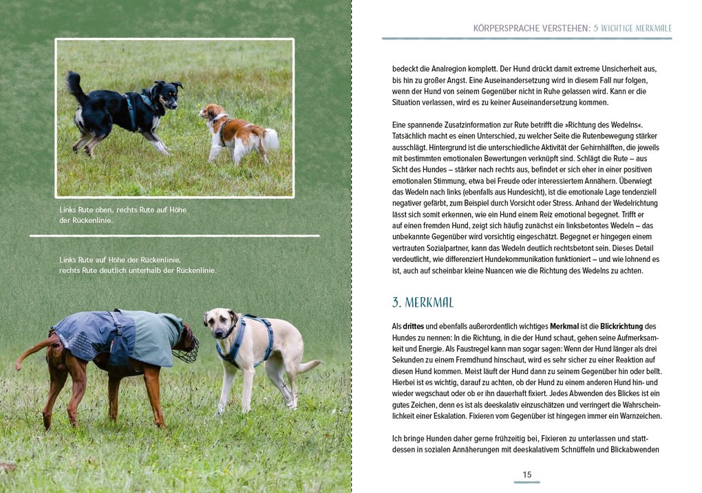 Weitere Ansicht: Das Hundesprachbuch | Julia Recker-Nitri