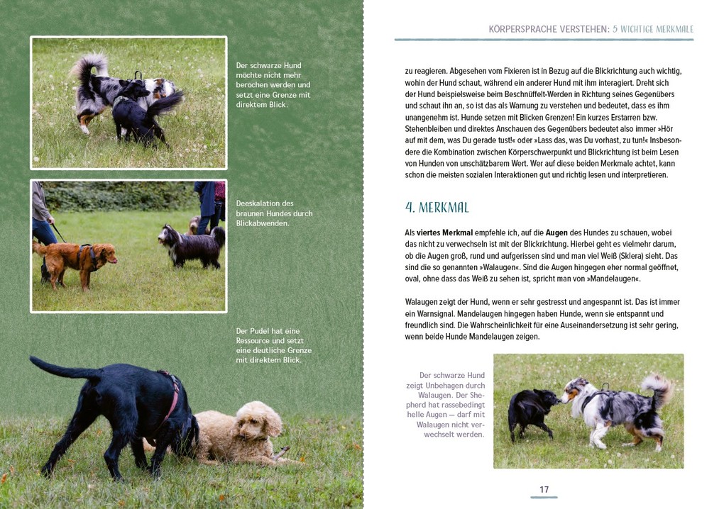 Weitere Ansicht: Das Hundesprachbuch | Julia Recker-Nitri