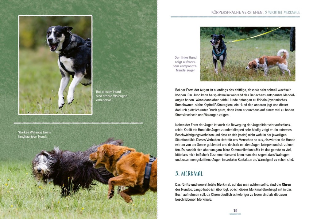 Weitere Ansicht: Das Hundesprachbuch | Julia Recker-Nitri