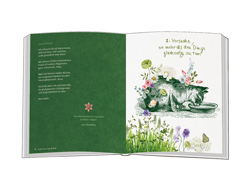 Weitere Ansicht: Versuche, nie mehr als drei Dinge gleichzeitig zu tun