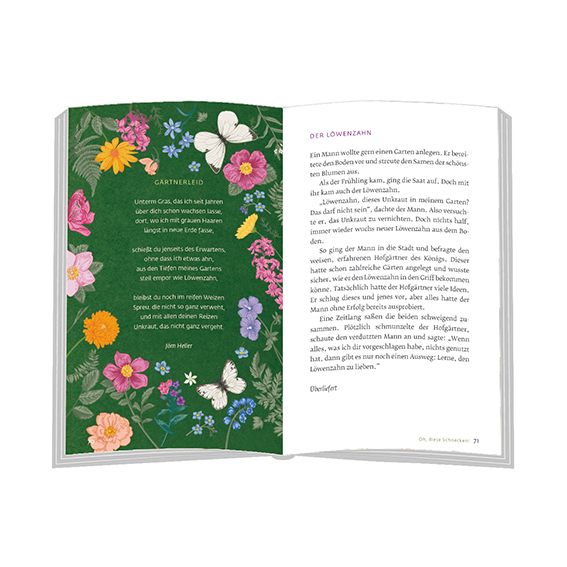 Weitere Ansicht: Zwischen Rüben und Kraut in den Himmel geschaut