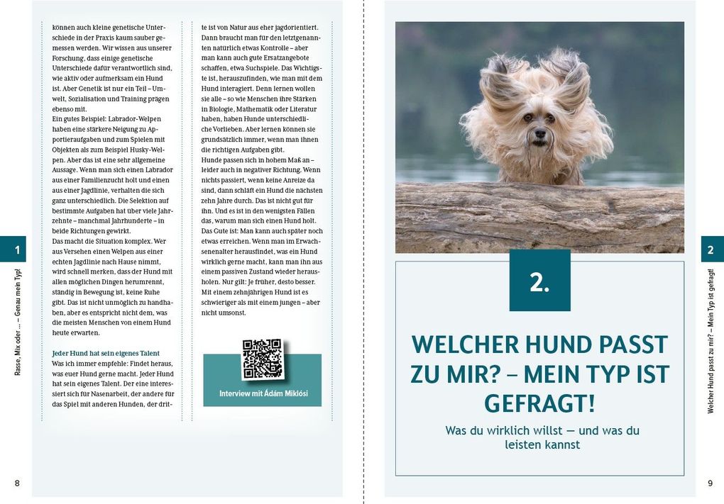 Weitere Ansicht: Genau mein Typ! | Susanne C. Steiger