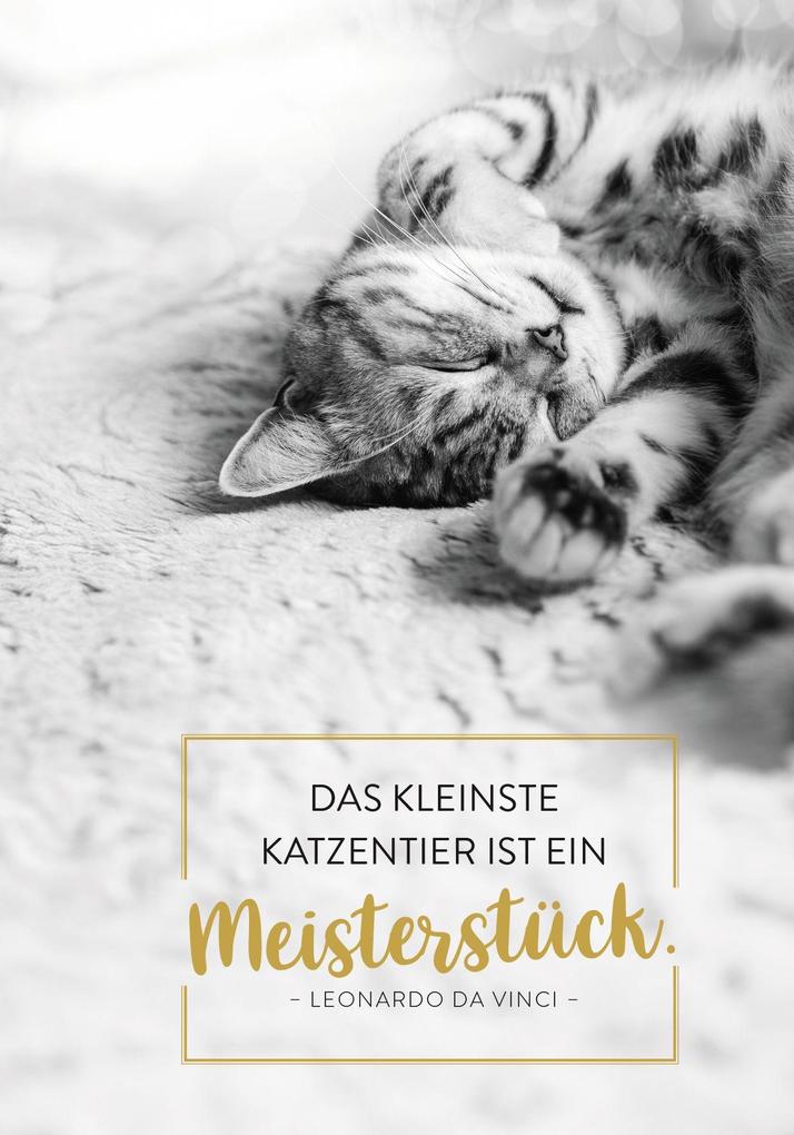 Weitere Ansicht: Buchkalender 2027: Für Katzenfreunde