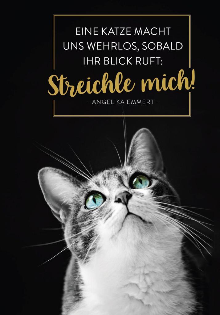 Weitere Ansicht: Buchkalender 2027: Für Katzenfreunde