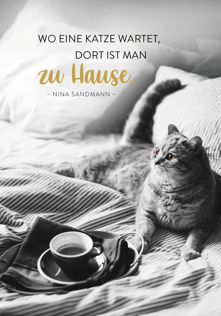 Weitere Ansicht: Buchkalender 2027: Für Katzenfreunde