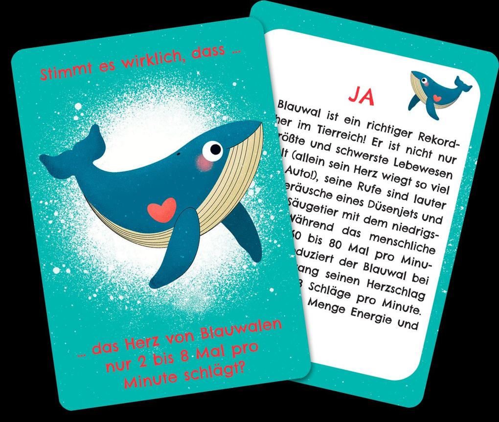 Weitere Ansicht: Werden Frösche manchmal blau? | Anika Gehrmann