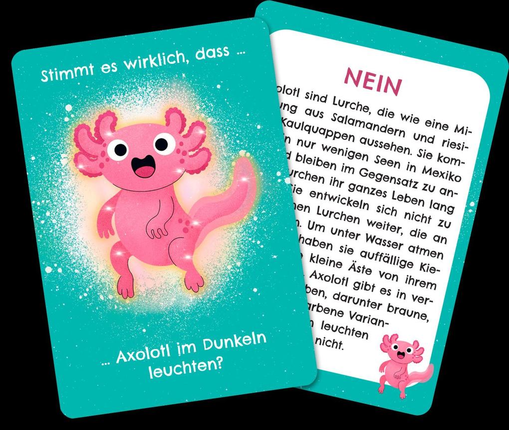 Weitere Ansicht: Werden Frösche manchmal blau? | Anika Gehrmann