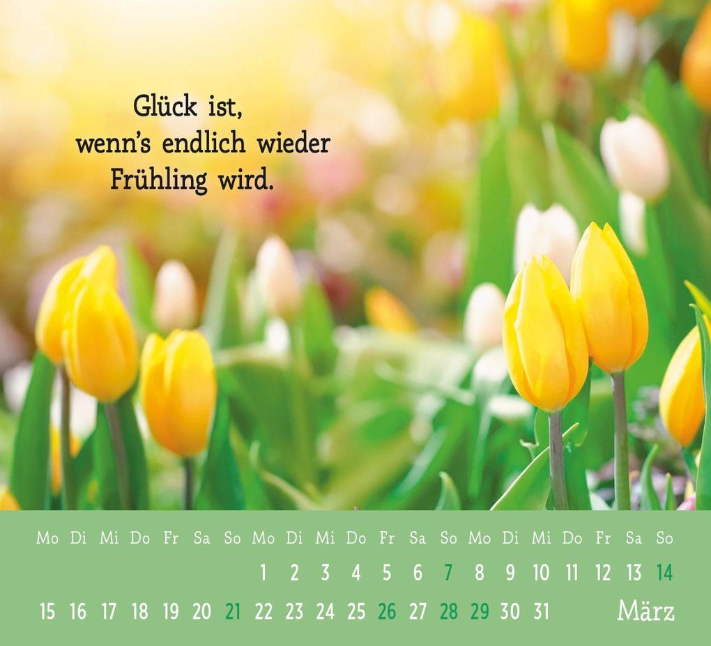 Weitere Ansicht: Mini-Kalender 2027: Der kleine Glückskalender