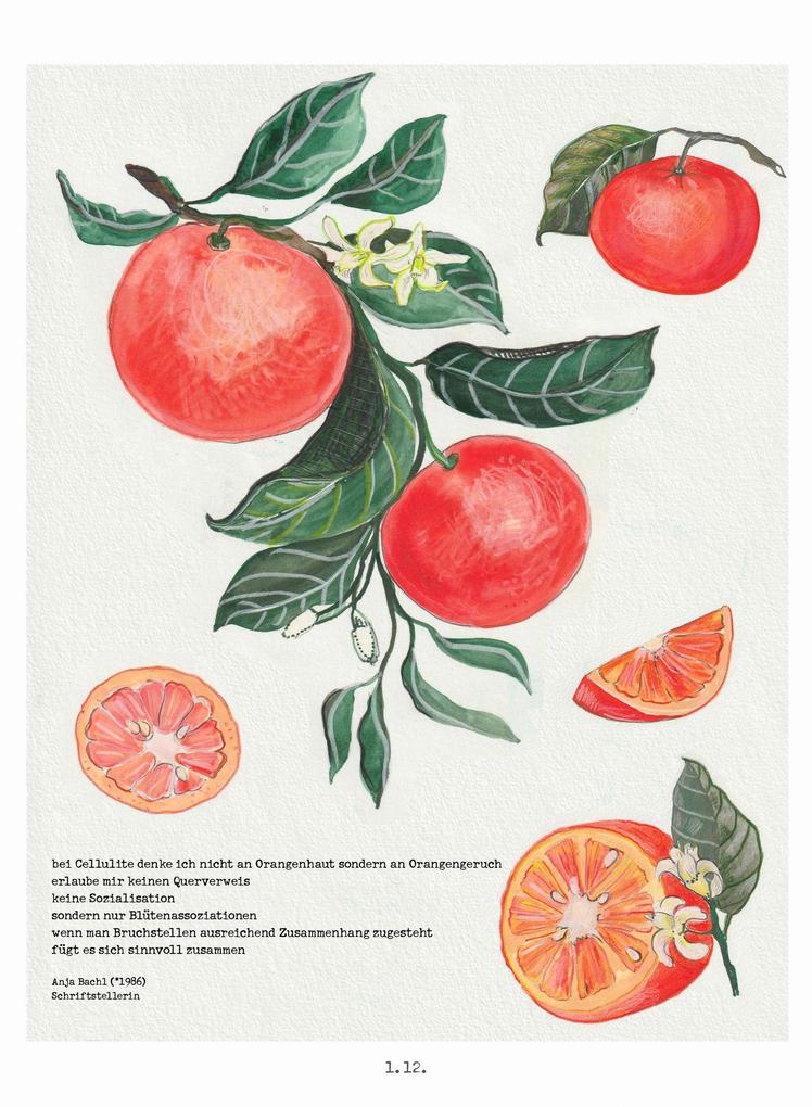 Weitere Ansicht: Lichtungen Advent 2026 | Ann-Kathrin Blohmer, Stephanie Brall