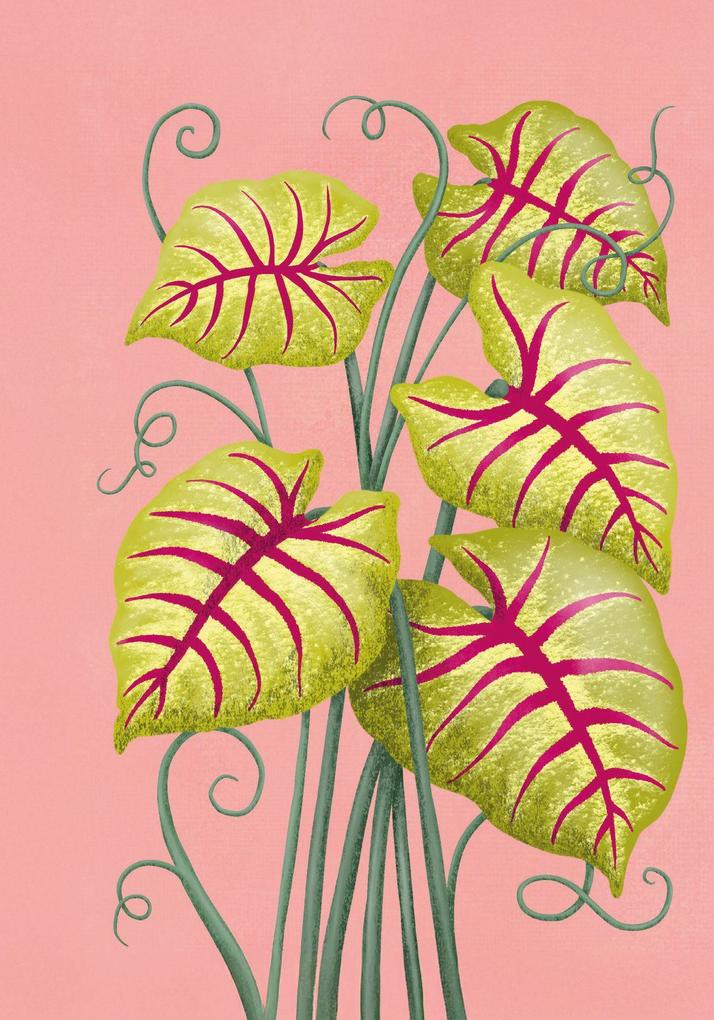 Weitere Ansicht: Buchkalender 2027: Lebe wild und voller Wunder