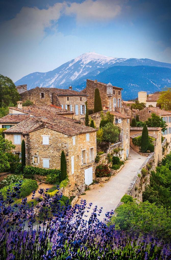 Weitere Ansicht: Madame le Commissaire und die tödliche Rallye | Pierre Martin