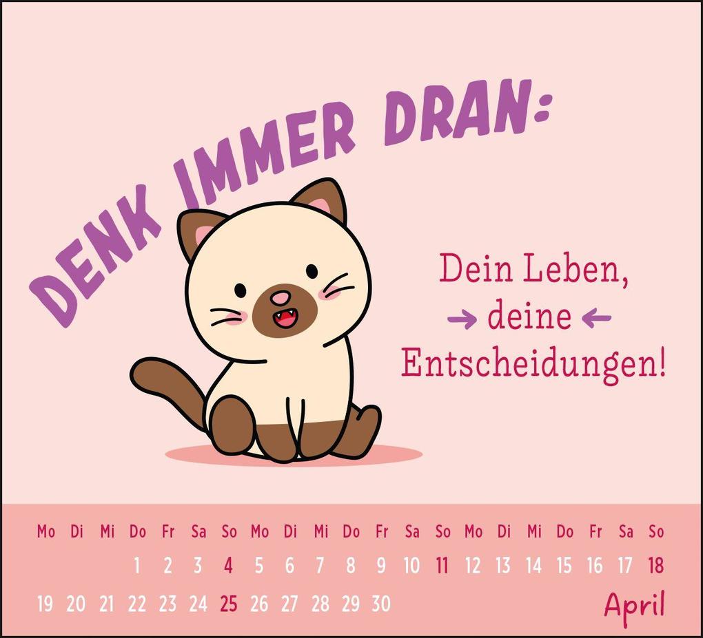 Weitere Ansicht: Mini-Kalender 2027: Der kleine Katzenliebe Kalender