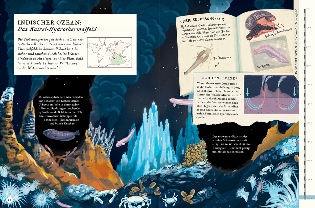 Weitere Ansicht: Erkunde den Ozean in diesem Buch | Rachel Elliot