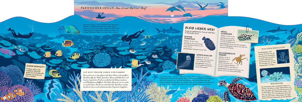 Weitere Ansicht: Erkunde den Ozean in diesem Buch | Rachel Elliot