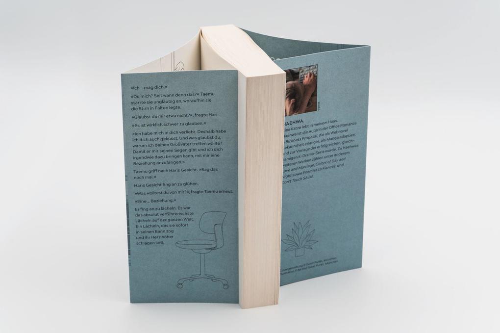 Weitere Ansicht: A Business Proposal 2 | Haehwa