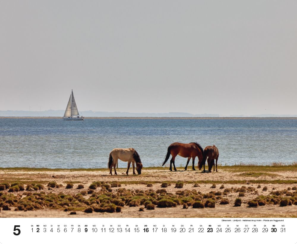 Weitere Ansicht: Mare Balticum 2027